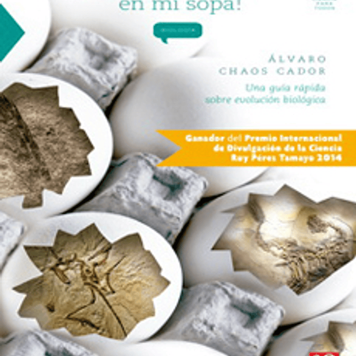 Hay Un Dinosaurio En Mi Sopa 1