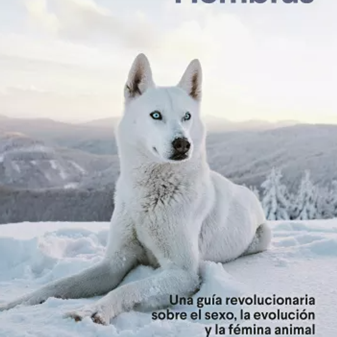 Hembras. Una Guia Revolucionaria Sobre El Sexo, La Evolucion Y La Femina Animal 1