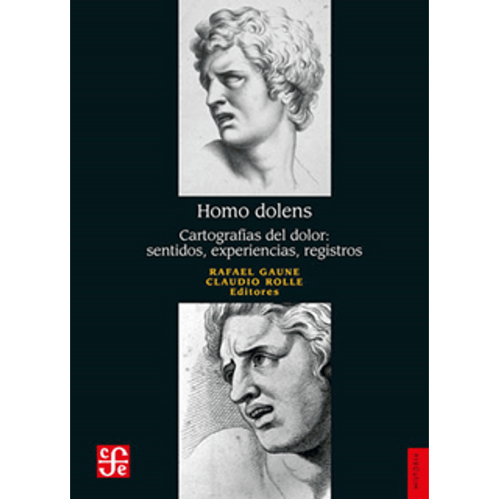 Homo Dolens - Cartografias Del Dolor Sentidos Experiencias Registros 1
