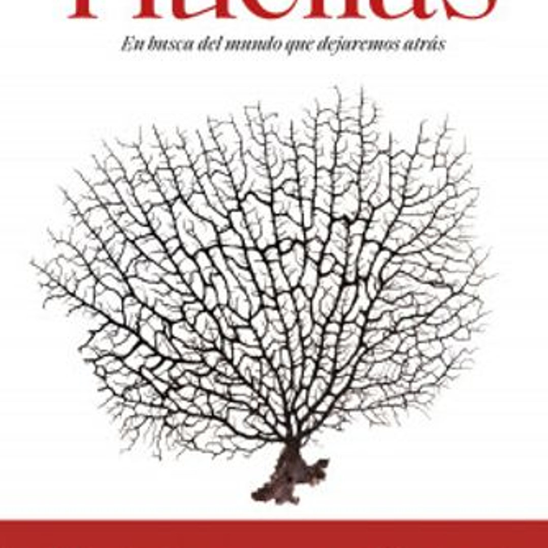 Huellas - En Busca Del Mundo Que Dejaremos Atras 1