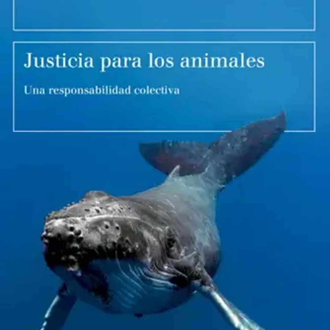 Justicia Para Los Animales - Una Responsabilidad Colectiva 1