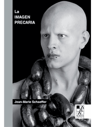 La Imagen Precaria