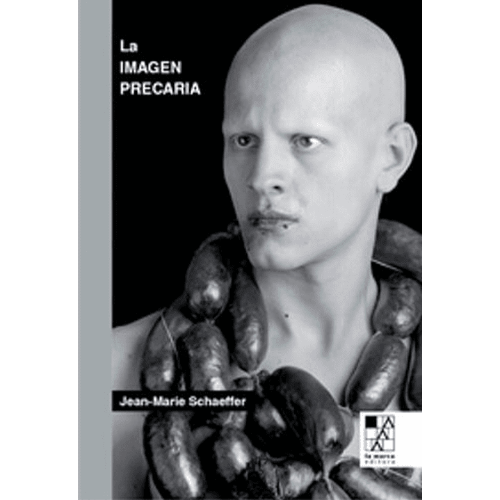 La Imagen Precaria 1