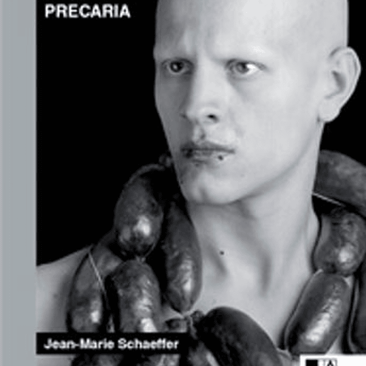 La Imagen Precaria 1