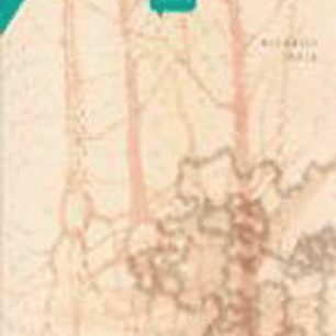 Las Celulas De La Mente