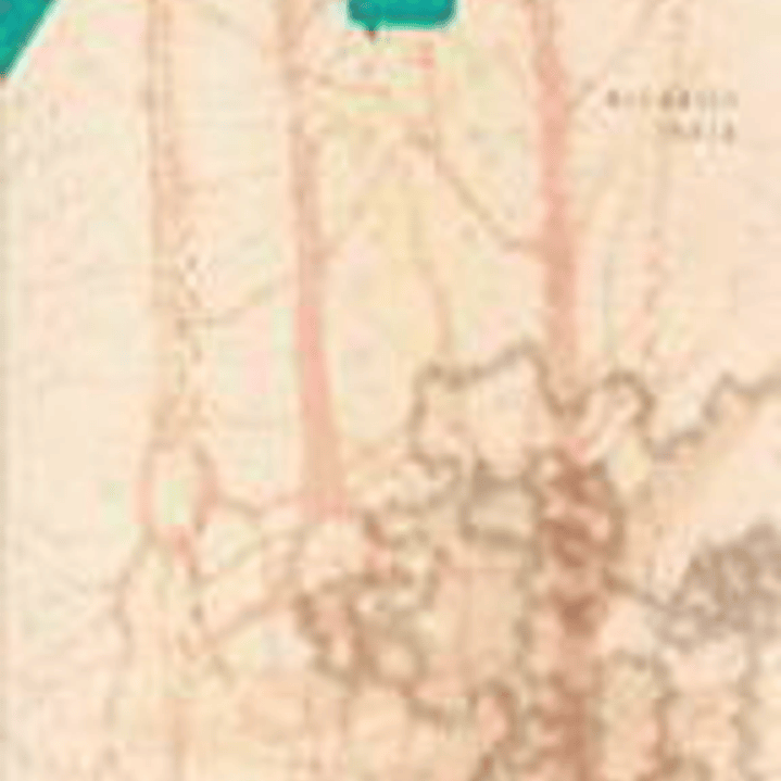 Las Celulas De La Mente 1