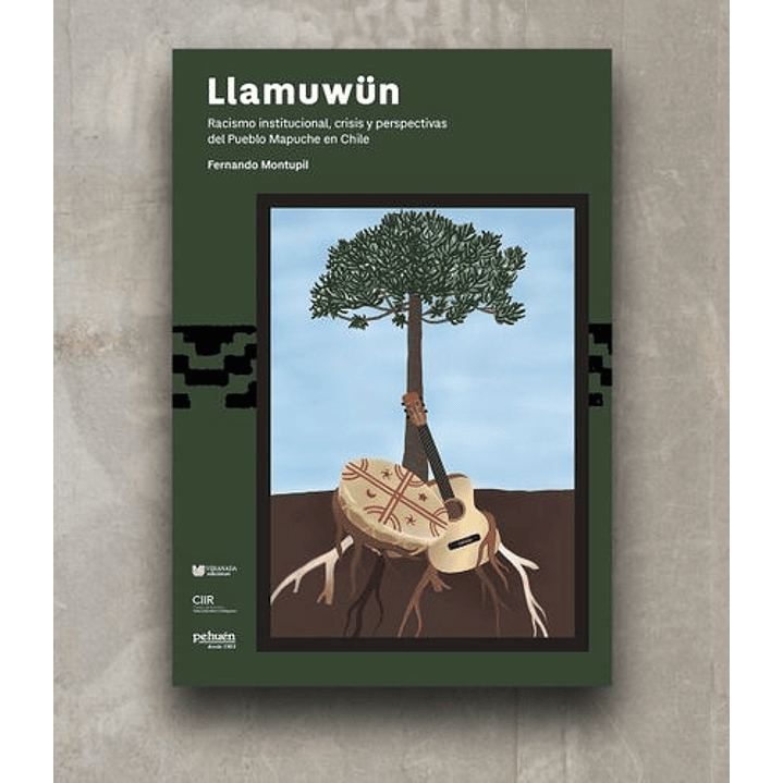 Llamuwun. Racismo Institucional, Crisis Y Perspectivas Del Pueblo Mapuche En Chile 1