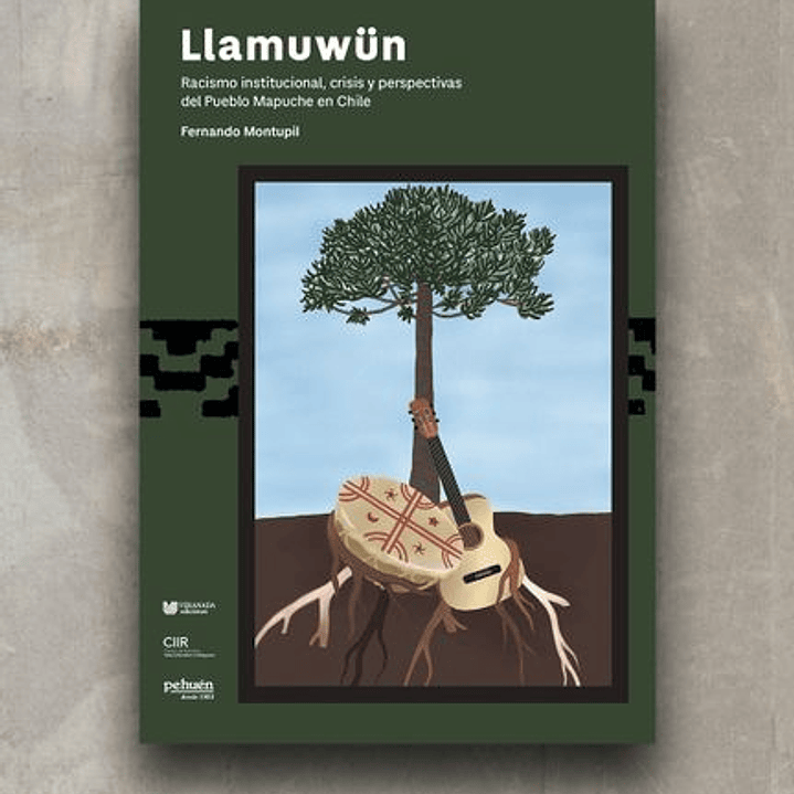 Llamuwun. Racismo Institucional, Crisis Y Perspectivas Del Pueblo Mapuche En Chile 1