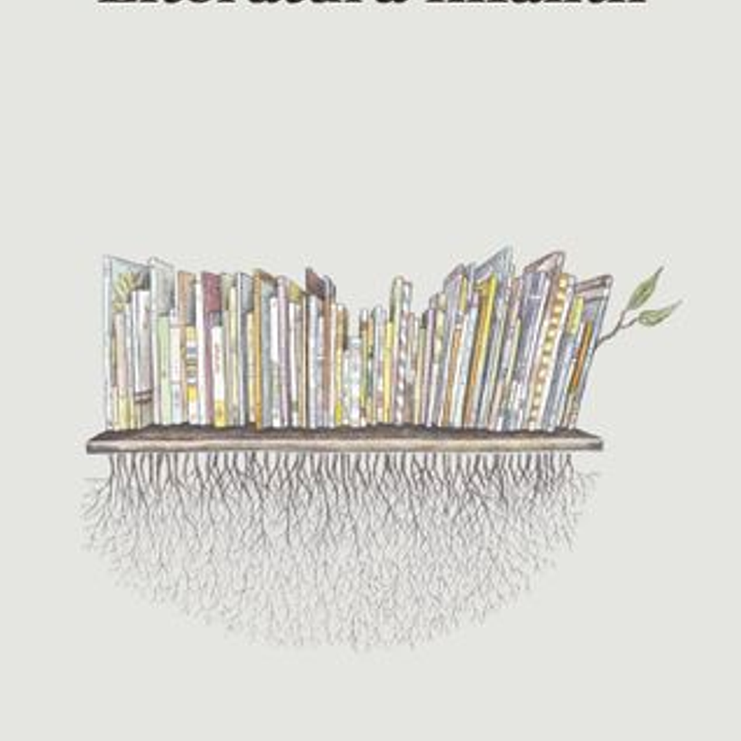 Literatura Infantil 1