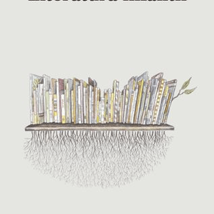 Literatura Infantil 1