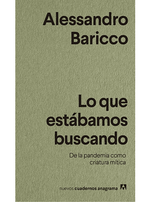 Lo Que Estabamos Buscando - 33 Fragmentos