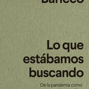 Lo Que Estabamos Buscando - 33 Fragmentos