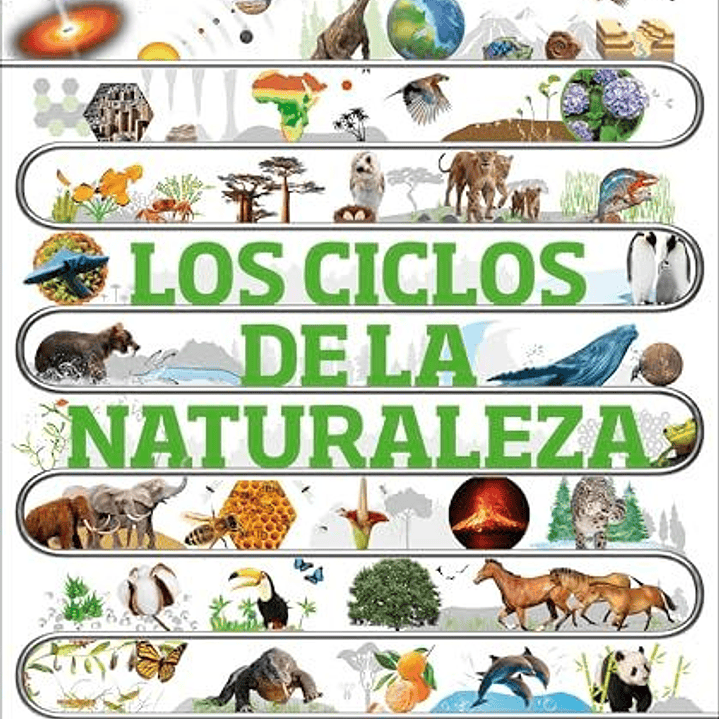 Los Ciclos De La Naturaleza 1