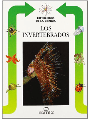 Los Invertebrados