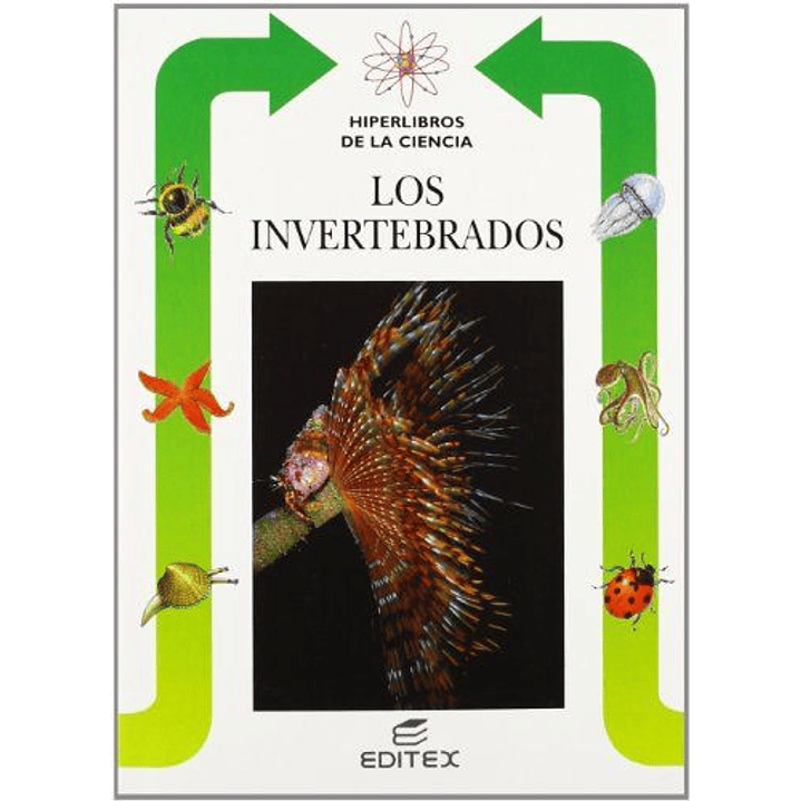 Los Invertebrados 1
