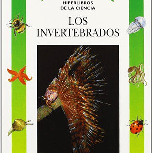 Los Invertebrados
