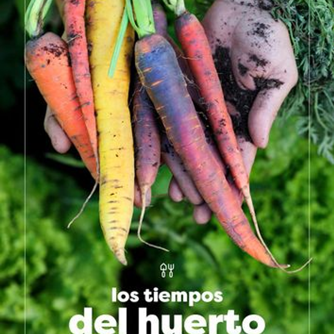 Los Tiempos Del Huerto 1