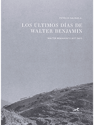 Los Ultimos Dias De Walter Benjamin