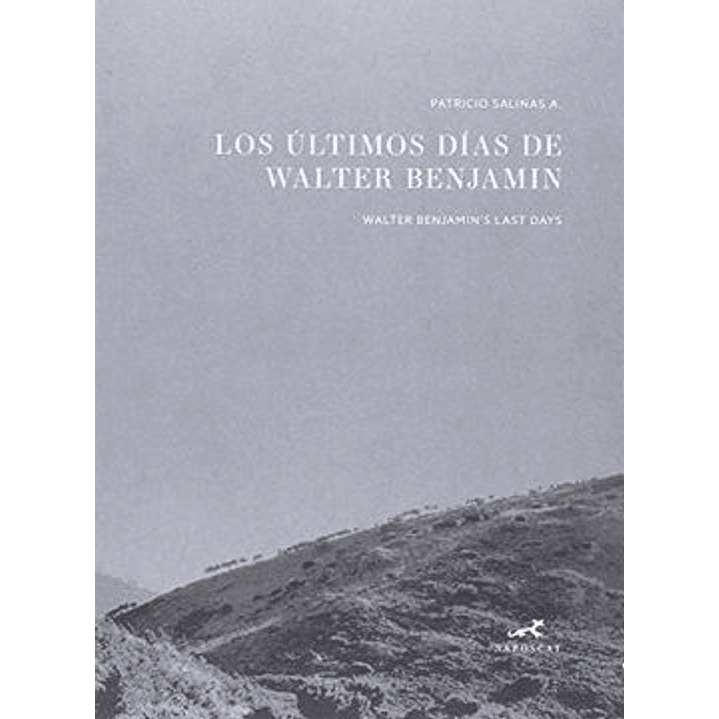 Los Ultimos Dias De Walter Benjamin 1