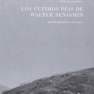 Los Ultimos Dias De Walter Benjamin
