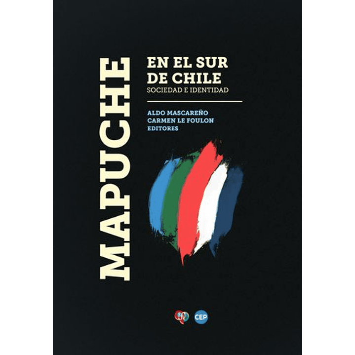 Mapuche En El Sur De Chile 1