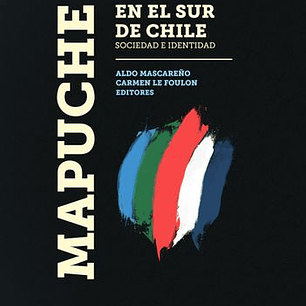 Mapuche En El Sur De Chile