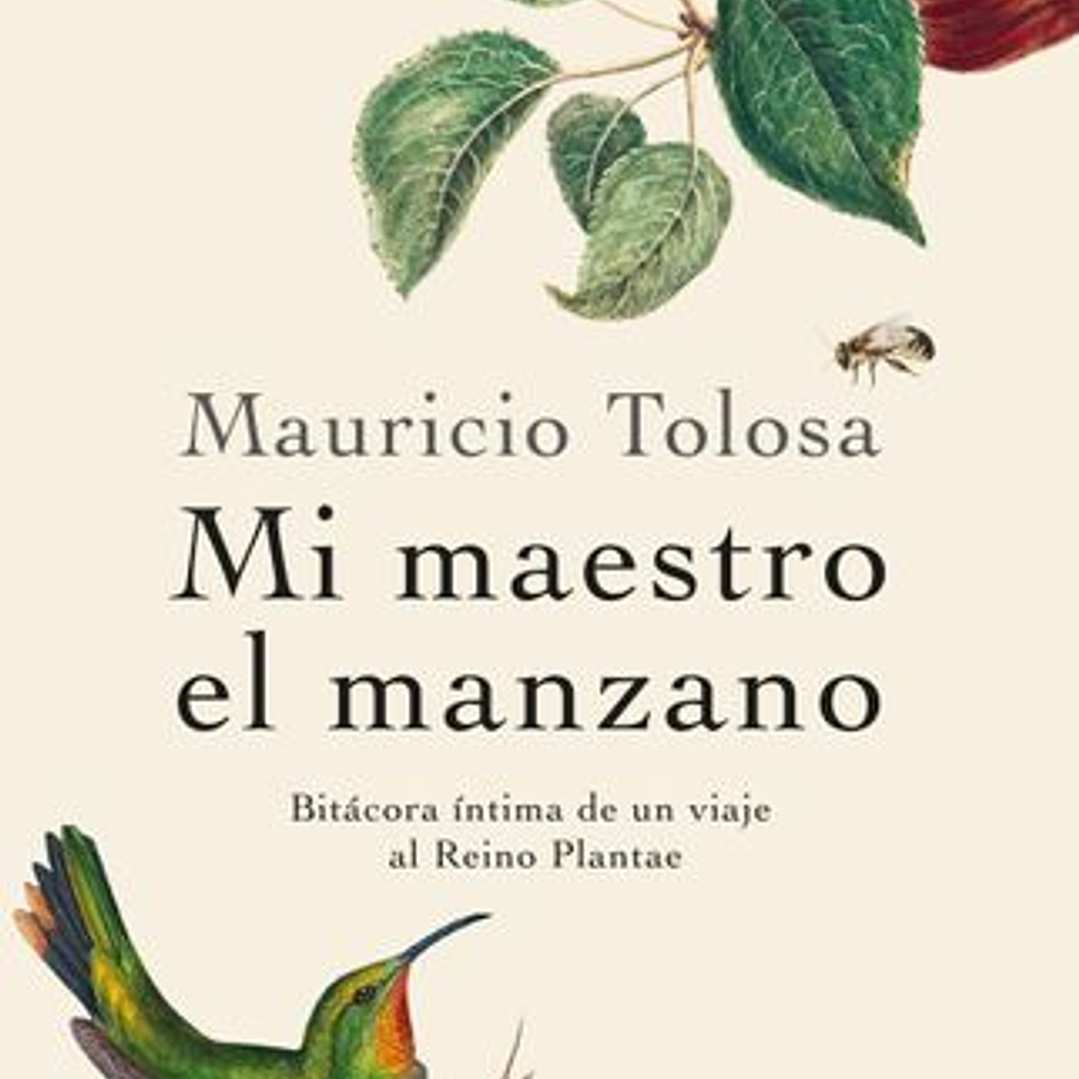 Mi Maestro El Manzano 1