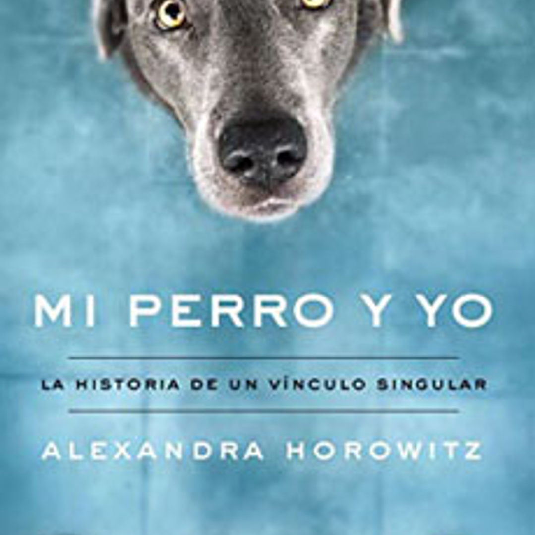Mi Perro Y Yo 1