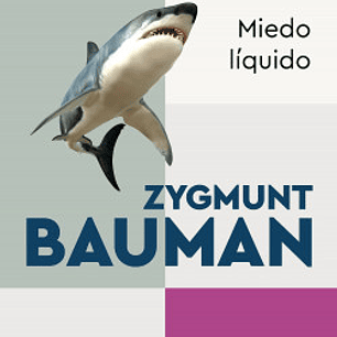 Miedo Liquido - La Sociedad Contemporanea Y Sus Temores