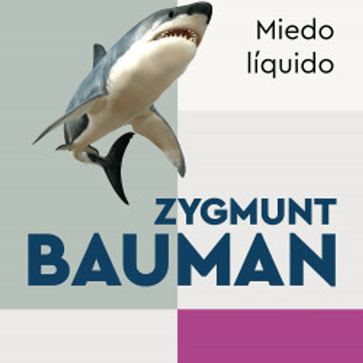 Miedo Liquido - La Sociedad Contemporanea Y Sus Temores 1