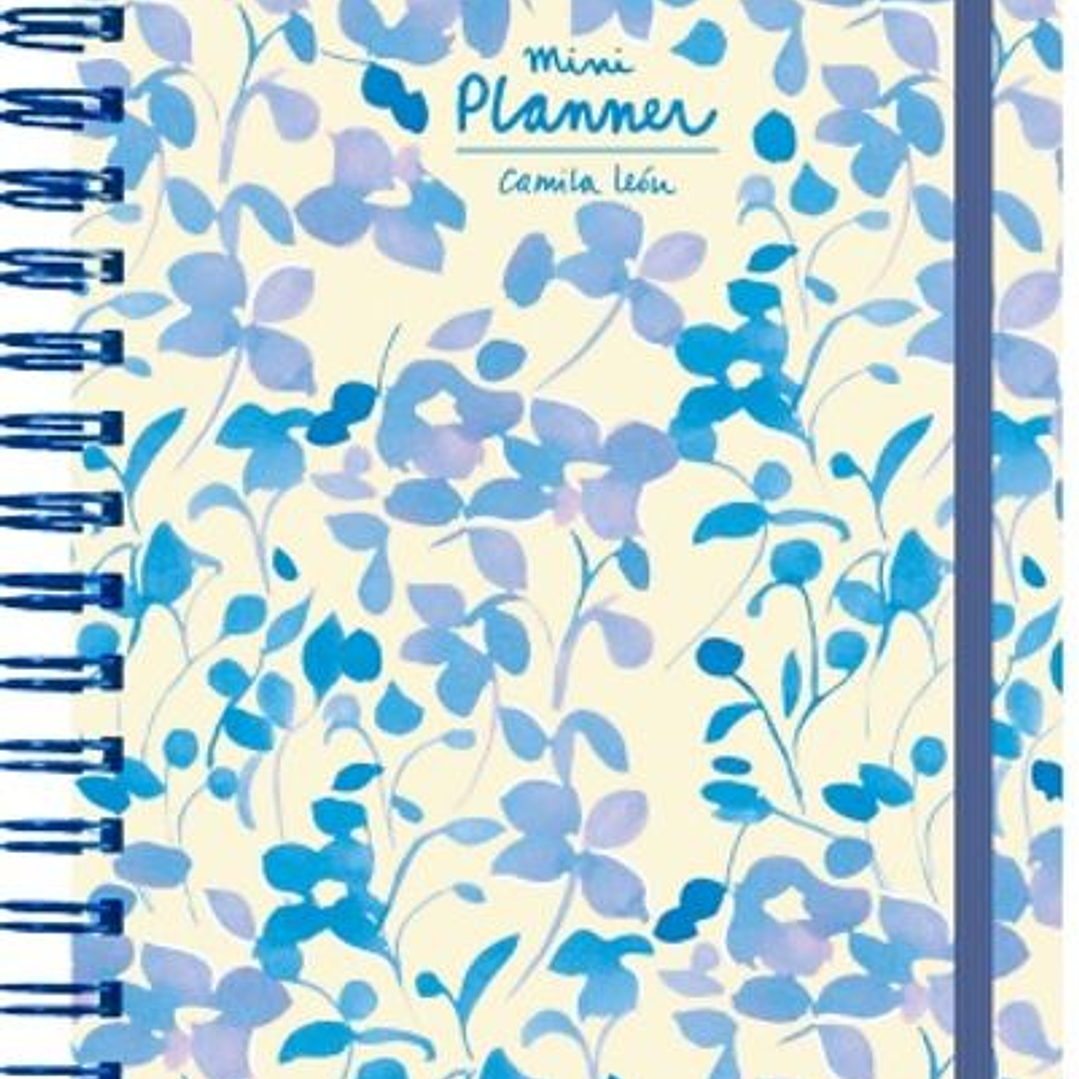 Mini Planner Azul 1