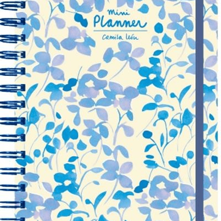 Mini Planner Azul 1