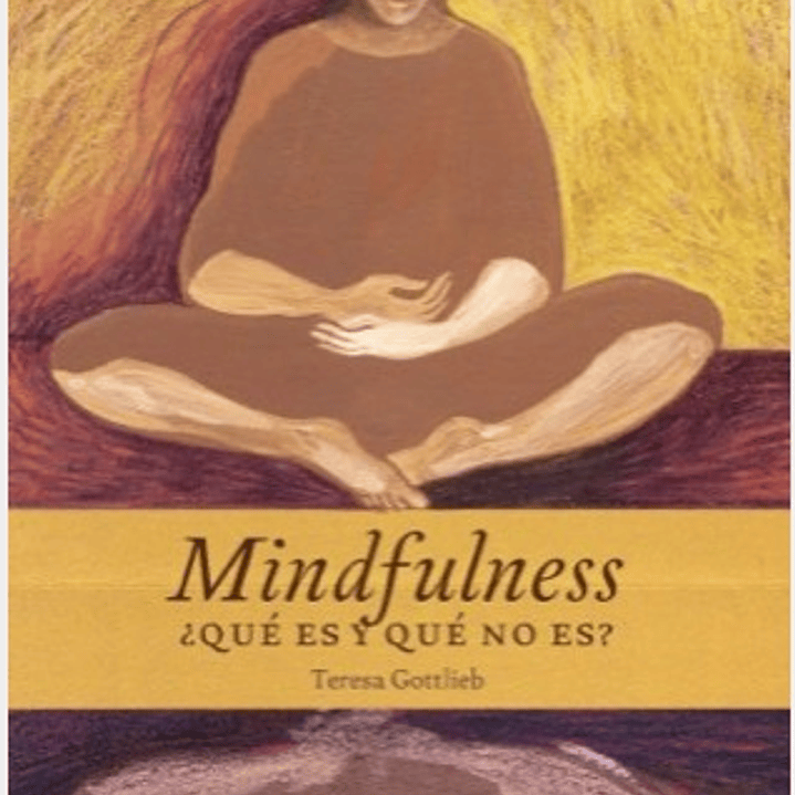 Mindfulness ¿Que Es Y Que No Es? 1