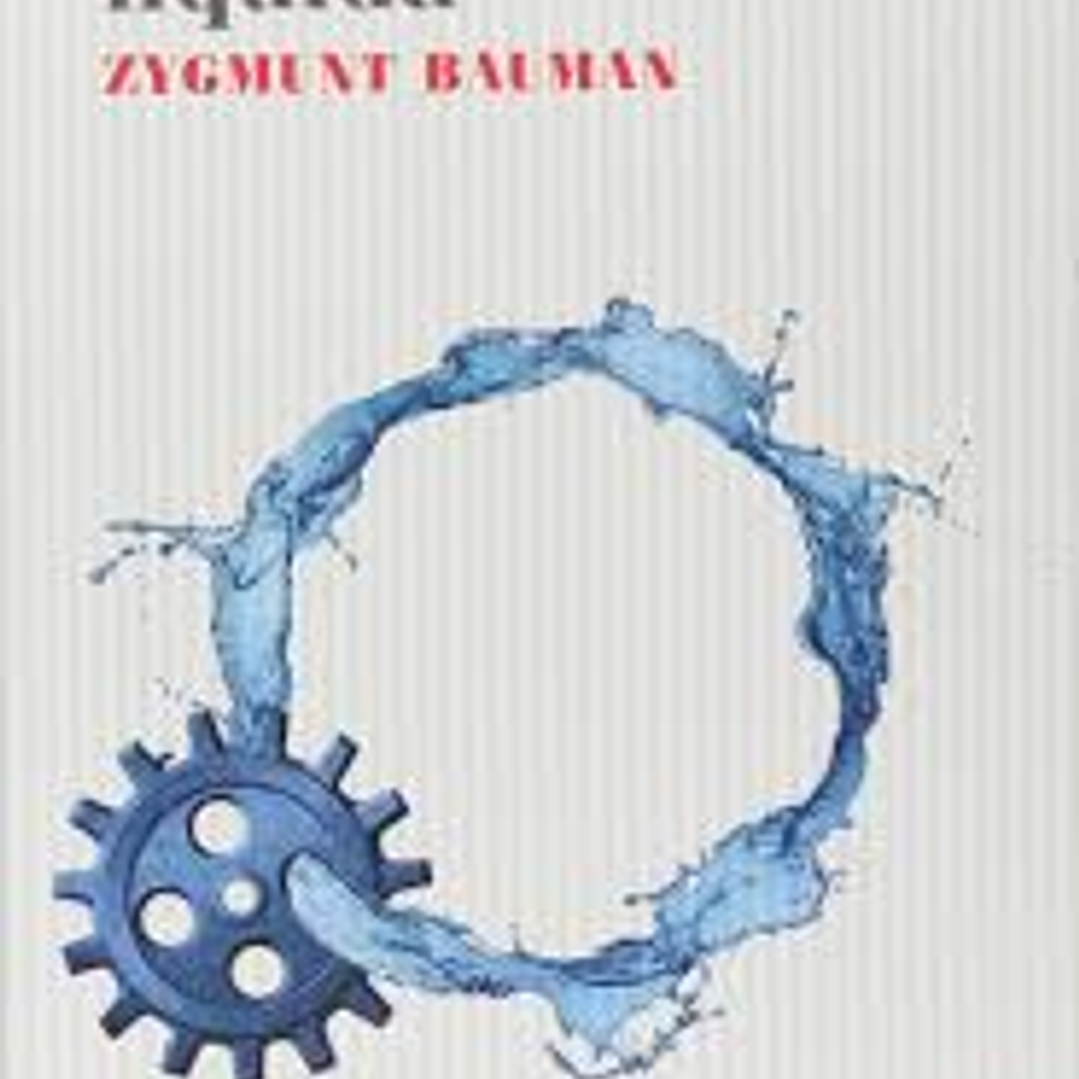 Modernidad Liquida 1