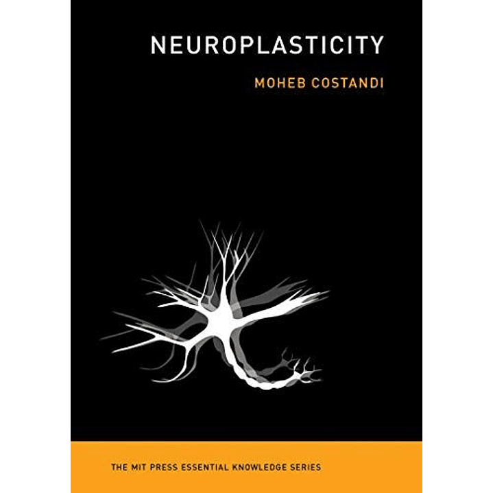Neuroplasticity 1