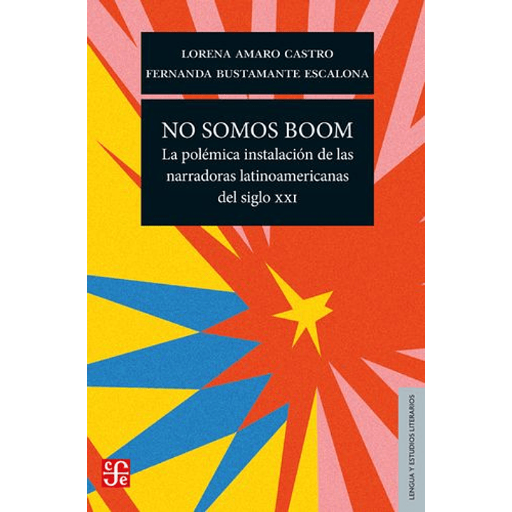 No Somos Boom. La Polemica Instalacion De Las Narradoras Latino Americanas Del Siglo Xxi 1