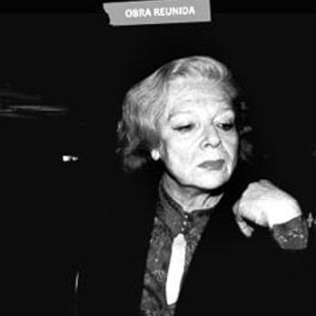 Obra Reunida Stella Diaz Varin 1