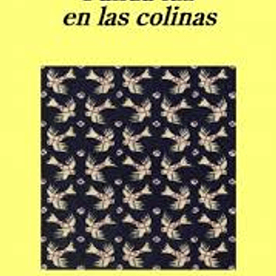 Palida Luz En Las Colinas