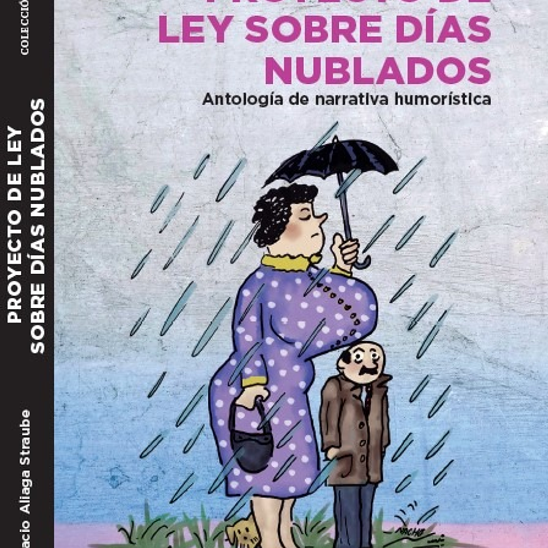 Proyecto De Ley Sobre Dias Nublados 1