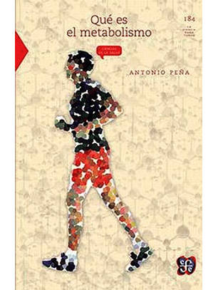 Que Es El Metabolismo