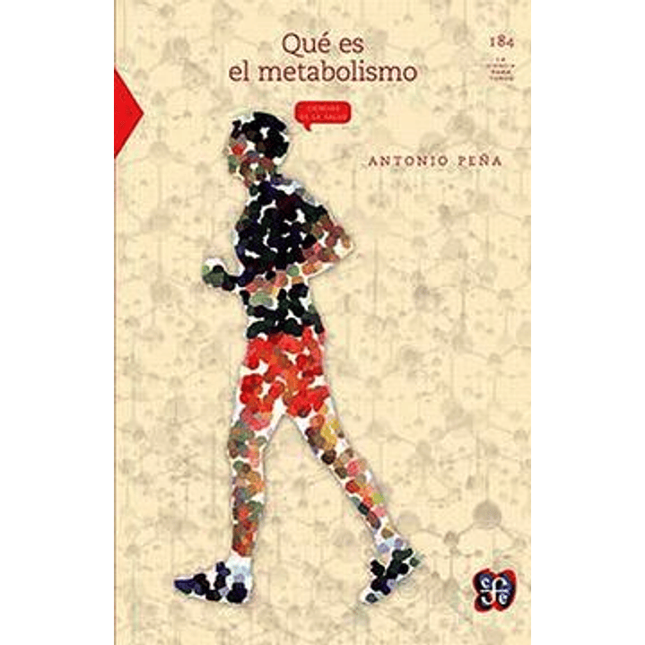 Que Es El Metabolismo 1