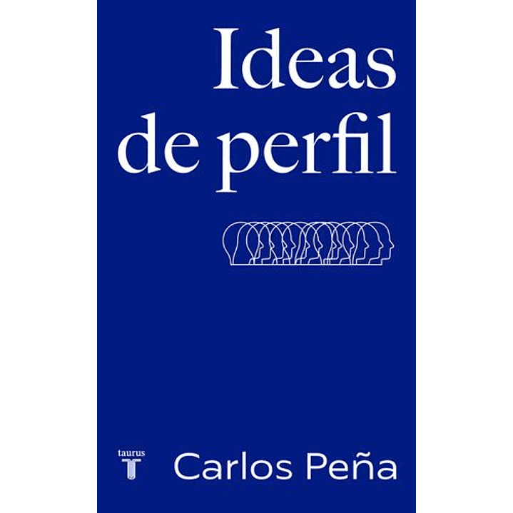 Ideas De Perfil 1