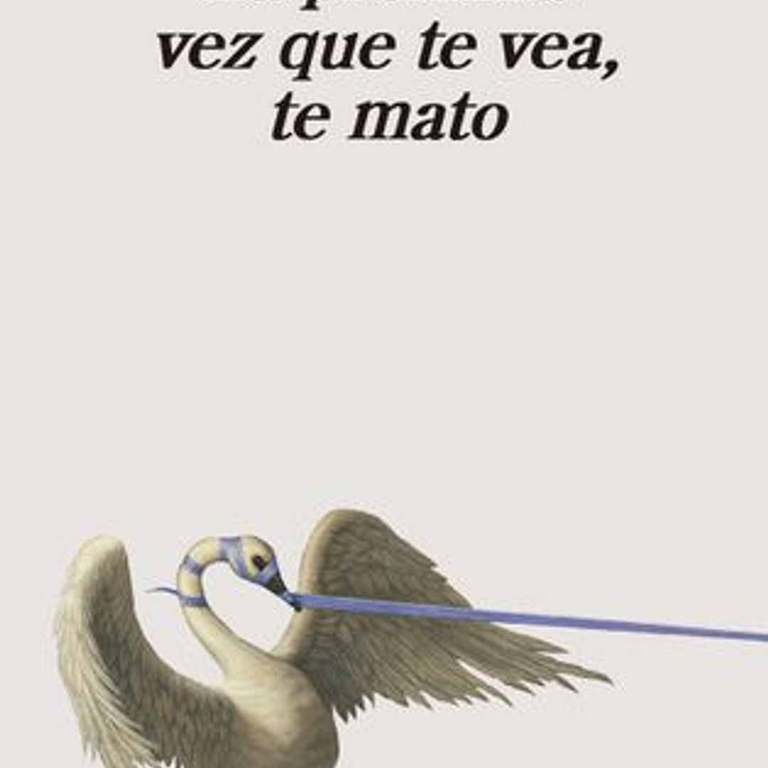 La Proxima Vez Que Te Vea, Te Mato 1