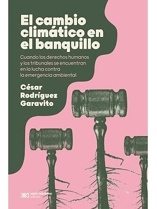 El Cambio Climatico En El Banquillo. Cuando Los Derechos Humanos Y Los Tribunales Se Encuentran En La Lucha Contra La Emergencia Ambiental