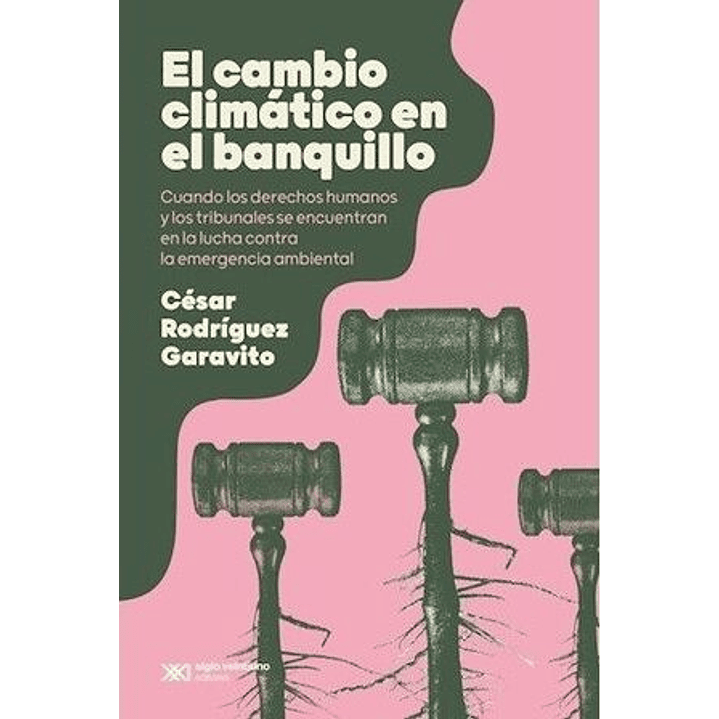 El Cambio Climatico En El Banquillo. Cuando Los Derechos Humanos Y Los Tribunales Se Encuentran En La Lucha Contra La Emergencia Ambiental 1