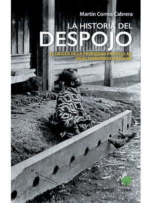 La Historia Del Despojo; El Origen De La Propiedad Particular En El Territorio Mapuche