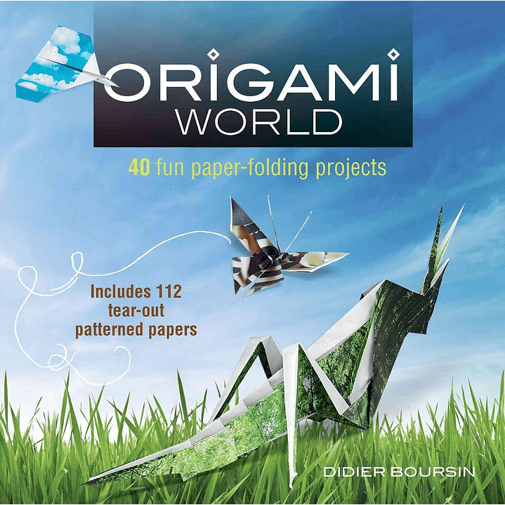 Origami World 1
