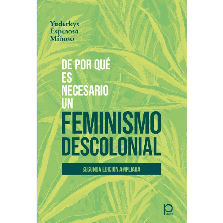 De Por Que Es Necesario Un Feminismo Descolonial 1