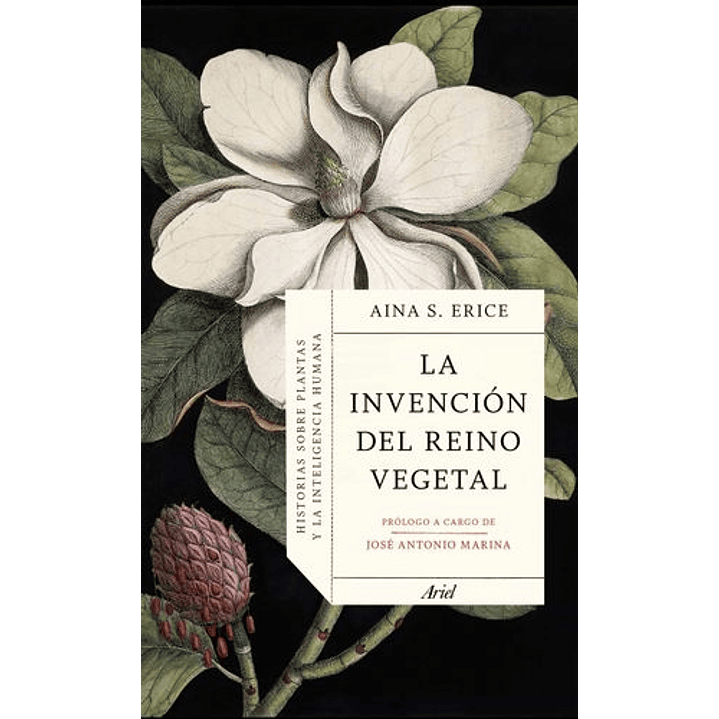 La Invencion Del Reino Vegetal 1