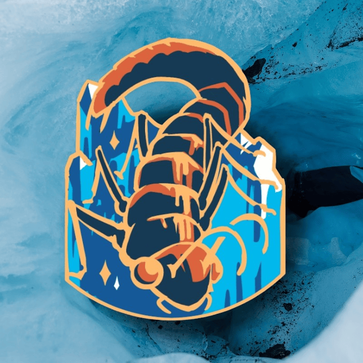 Pin Dragon De La Patagonia 1
